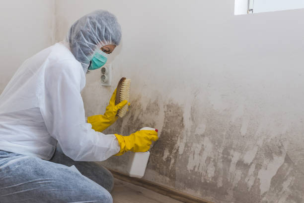 Best Crawl Space Mold Removal  in Cumberland Hill, RI