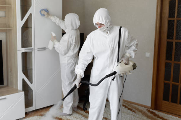 Best Emergency Mold Removal  in Cumberland Hill, RI