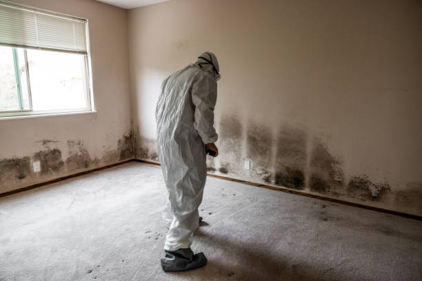 Crawl Space Mold Removal in Cumberland Hill, RI
